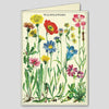 Cavallini Wildflowers Boxed Note Cards | Conscious Craft